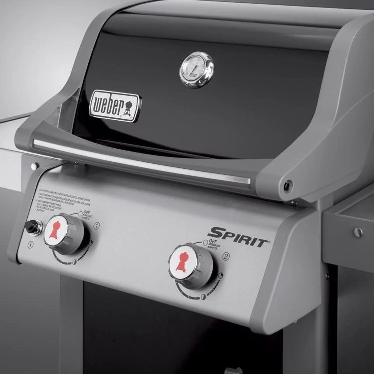 Weber 2 Burner Liquid Propane Grill, Black - Spirit E-210